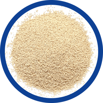 発酵規範原料の酵母エキス