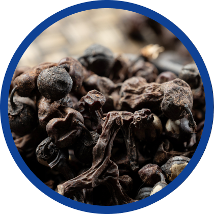 韓国で伝統のケンポナシ