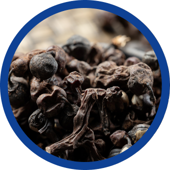 韓国で伝統のケンポナシ