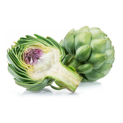 アーティチョークエキス粉末