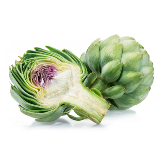 アーティチョークエキス粉末